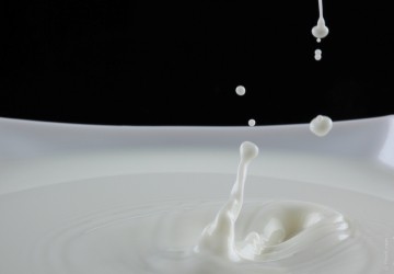 El mercado global de lácteos seguirá creciendo
