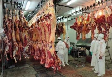 Las carnes paraguayas se ilusionan con Europa
