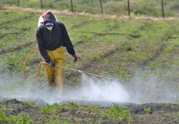 Alertan sobre efectos del uso de agroqu�micos