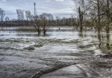 Hacia un manejo preventivo del recurso h�drico