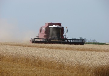 Hacia un nuevo modelo de integraci�n vertical