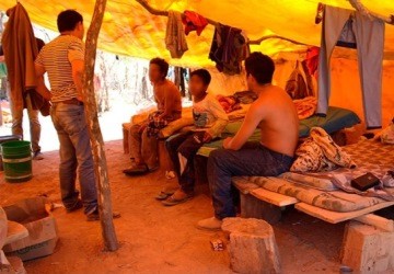 El lado oscuro del boom ganadero paraguayo