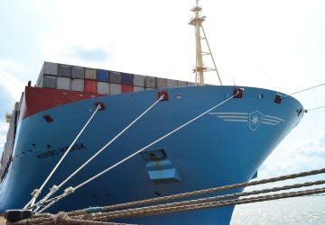 Exportaciones para el desarrollo de la Argentina