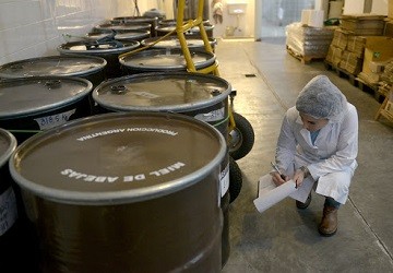 Producci�n de miel, factor de desarrollo regional