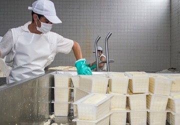 Crecen fuertemente las exportaciones de l�cteos