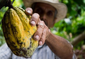 Los agronegocios se han tornado insostenibles