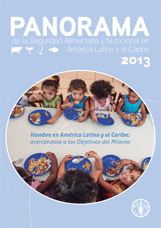 Seguridad alimentaria y nutricional en la región